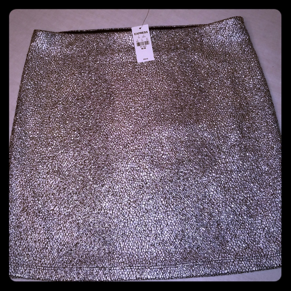 Sparkling Silver Express Mini Skirt NWT